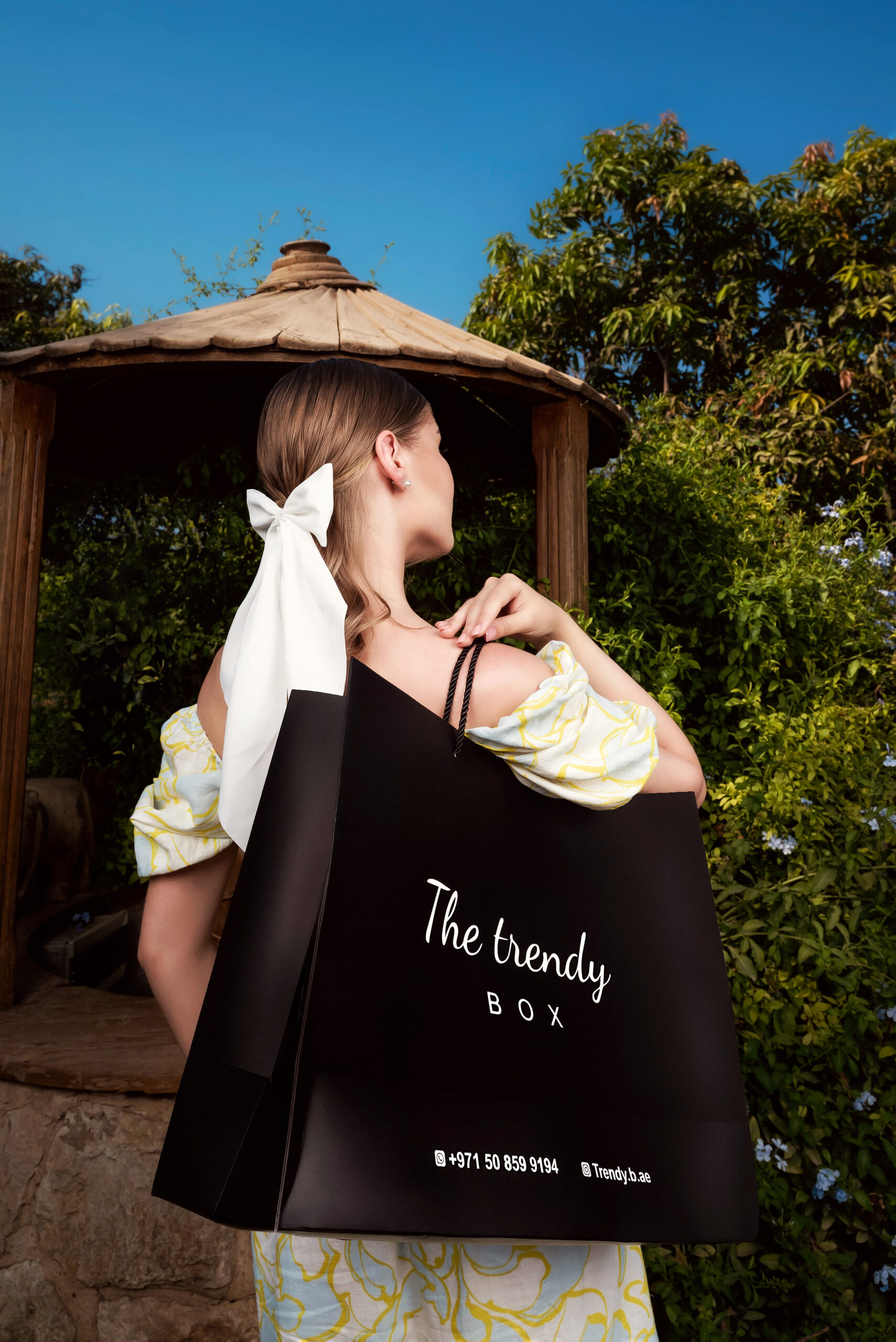 Discover Collections